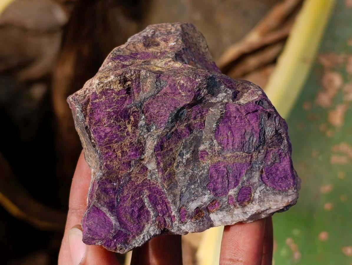 Natural Metallic Purpurite Specimens x 6 From Erongo, Namibia