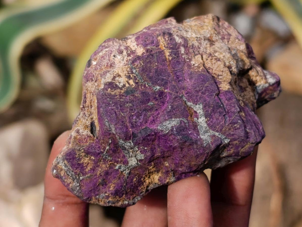 Natural Metallic Purpurite Specimens x 6 From Erongo, Namibia