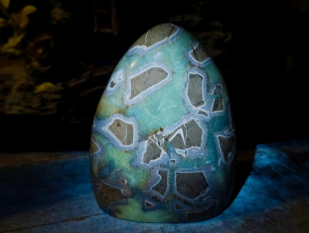 Polished Septerye Standing Free Forms x 2 From Mahajanga, Madagascar