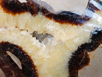 Polished Septerye Standing Free Forms x 2 From Mahajanga, Madagascar