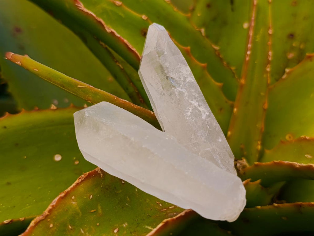 Natural Clear Quartz Crystals x 35 From Madagascar