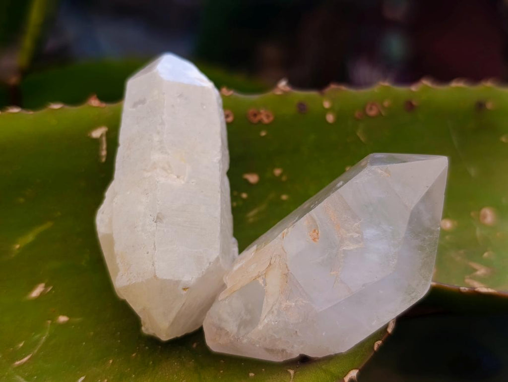 Natural Clear Quartz Crystals x 35 From Madagascar
