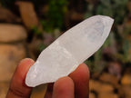 Natural Clear Quartz Crystals x 35 From Madagascar