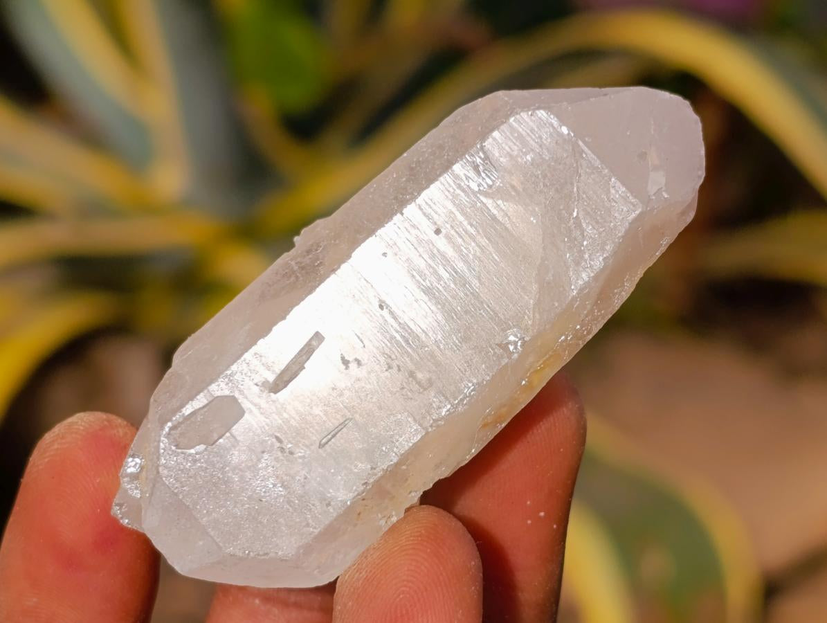 Natural Clear Quartz Crystals x 35 From Madagascar