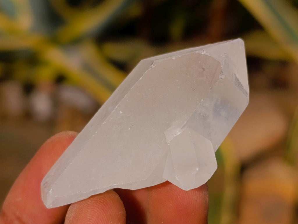 Natural Clear Quartz Crystals x 35 From Madagascar