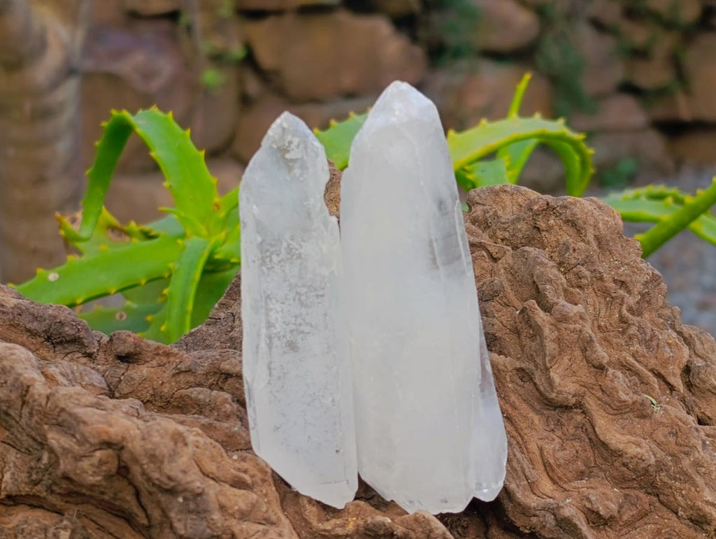 Natural Clear Quartz Crystals x 35 From Madagascar