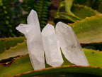 Natural Clear Quartz Crystals x 35 From Madagascar