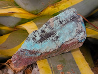 Natural Drusy Chrysocolla With Malachite And Heterogenite On Dolomite Specimens x 3 From Lupoto, Congo