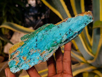 Natural Drusy Chrysocolla With Malachite And Heterogenite On Dolomite Specimens x 3 From Lupoto, Congo