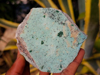 Natural Drusy Chrysocolla With Malachite And Heterogenite On Dolomite Specimens x 3 From Lupoto, Congo