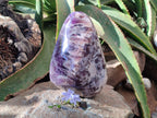 Polished Purple Chevron Amethyst Standing Free Form x 1 From Madagascar