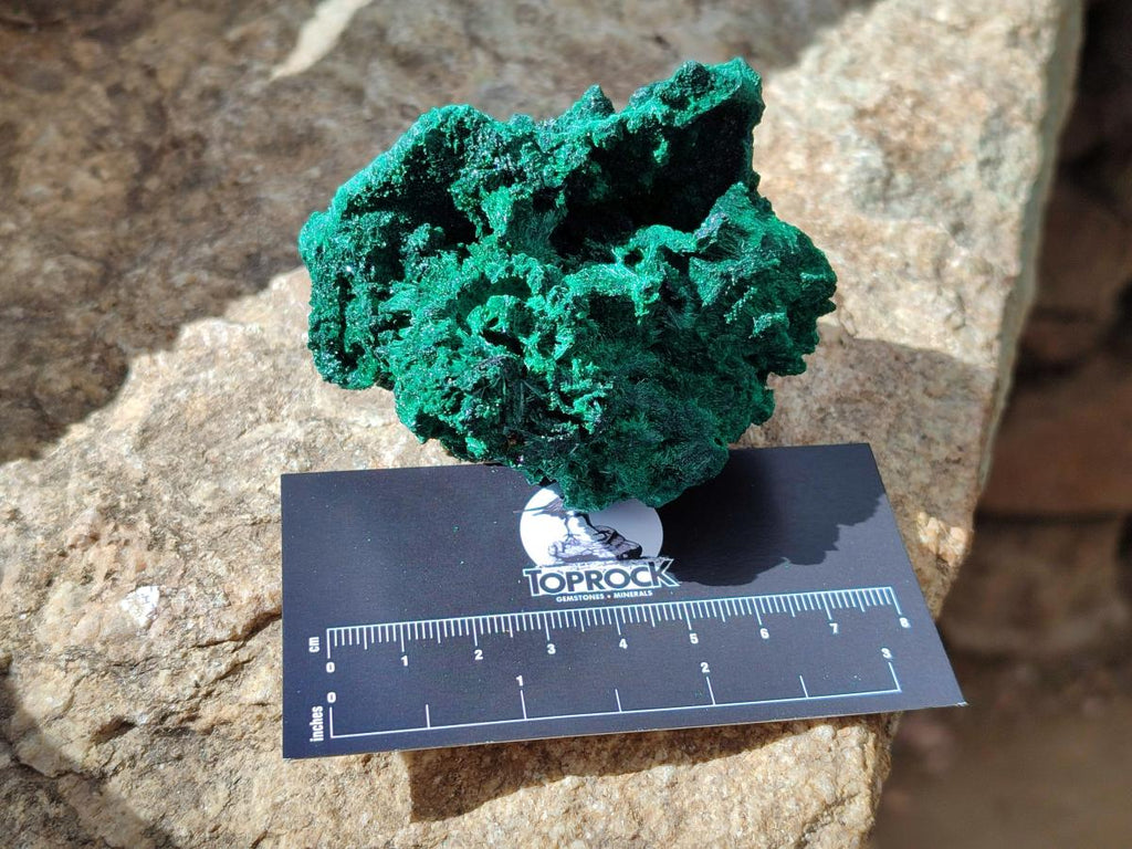 Natural Silky Malachite Specimens x 6 From Kasompe, Congo