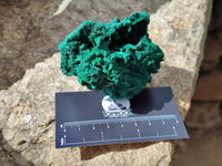 Natural Silky Malachite Specimens x 6 From Kasompe, Congo