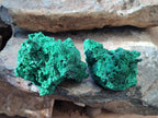 Natural Silky Malachite Specimens x 6 From Kasompe, Congo