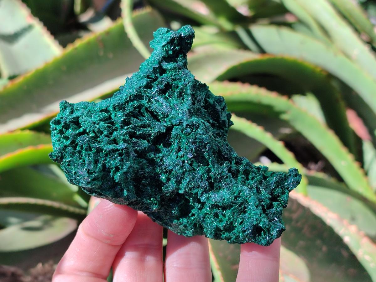 Natural Silky Malachite Specimens x 6 From Kasompe, Congo