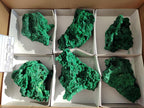 Natural Silky Malachite Specimens x 6 From Kasompe, Congo