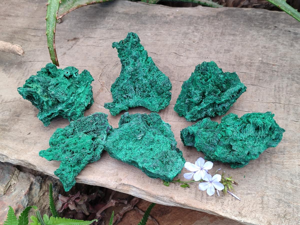 Natural Silky Malachite Specimens x 6 From Kasompe, Congo