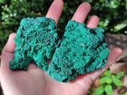 Natural Silky Malachite Specimens x 6 From Kasompe, Congo