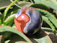 Polished Polychrome Jasper Spheres x 3 From NW Coast, Madagascar