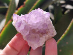 Natural Amethyst Spirit Clusters x 20 From Boekenhouthoek, South Africa