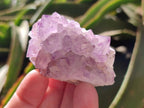 Natural Amethyst Spirit Clusters x 20 From Boekenhouthoek, South Africa