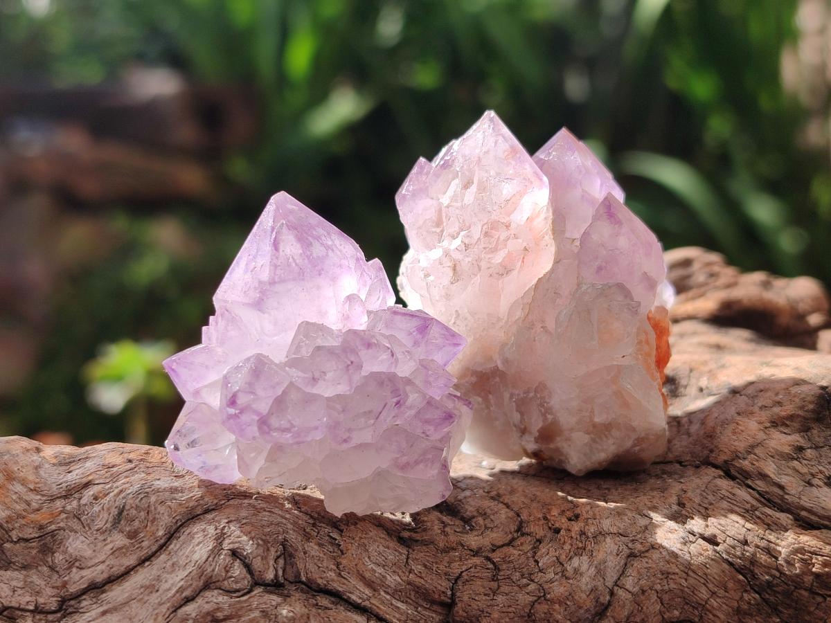 Natural Amethyst Spirit Clusters x 20 From Boekenhouthoek, South Africa