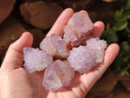 Natural Amethyst Spirit Clusters x 20 From Boekenhouthoek, South Africa