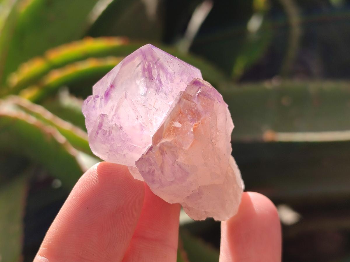 Natural Amethyst Spirit Clusters x 20 From Boekenhouthoek, South Africa