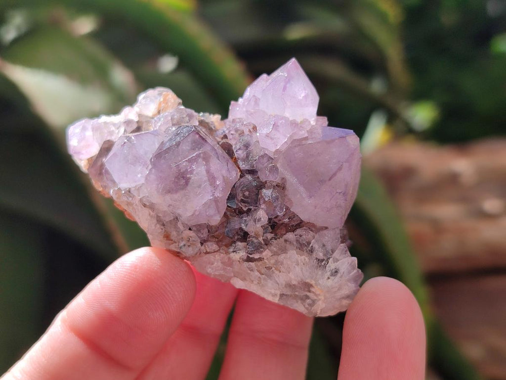 Natural Amethyst Spirit Clusters x 20 From Boekenhouthoek, South Africa