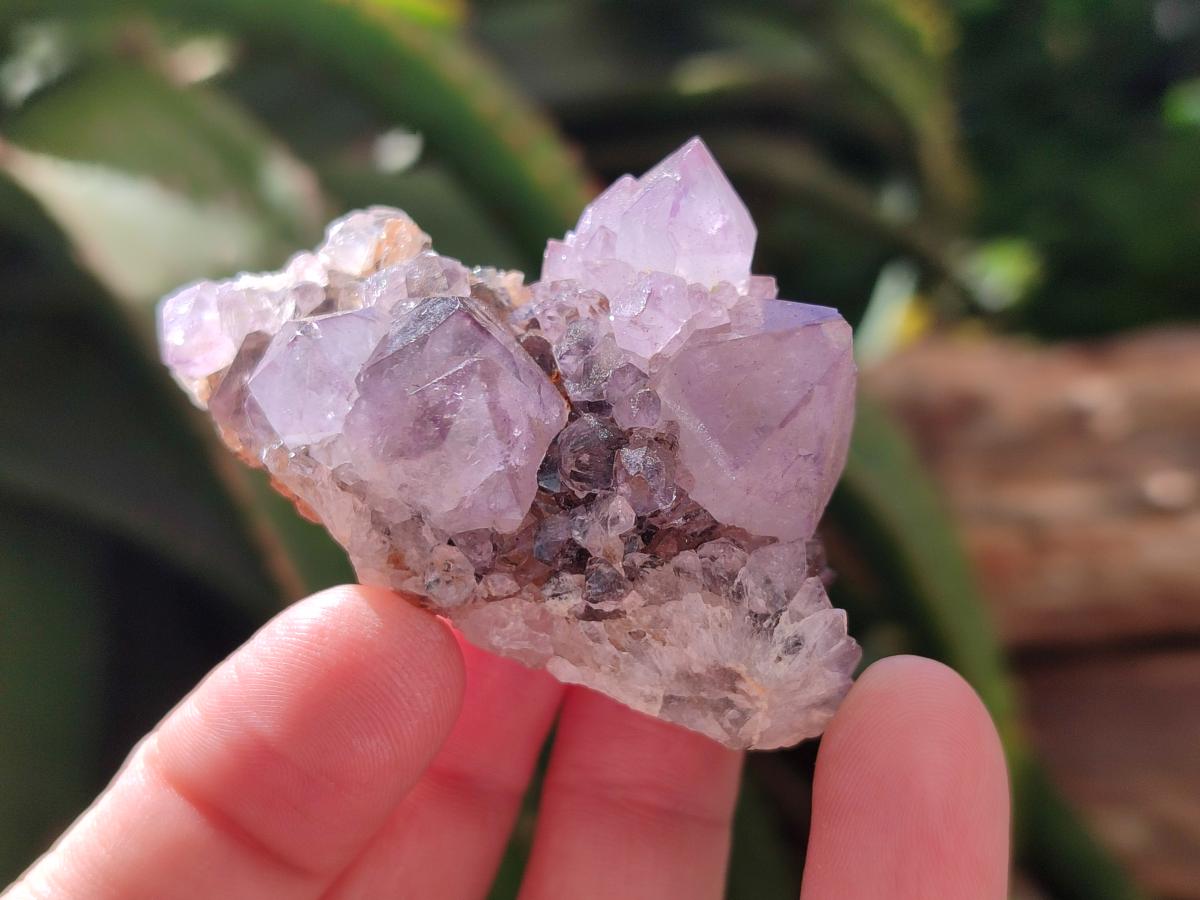 Natural Amethyst Spirit Clusters x 20 From Boekenhouthoek, South Africa