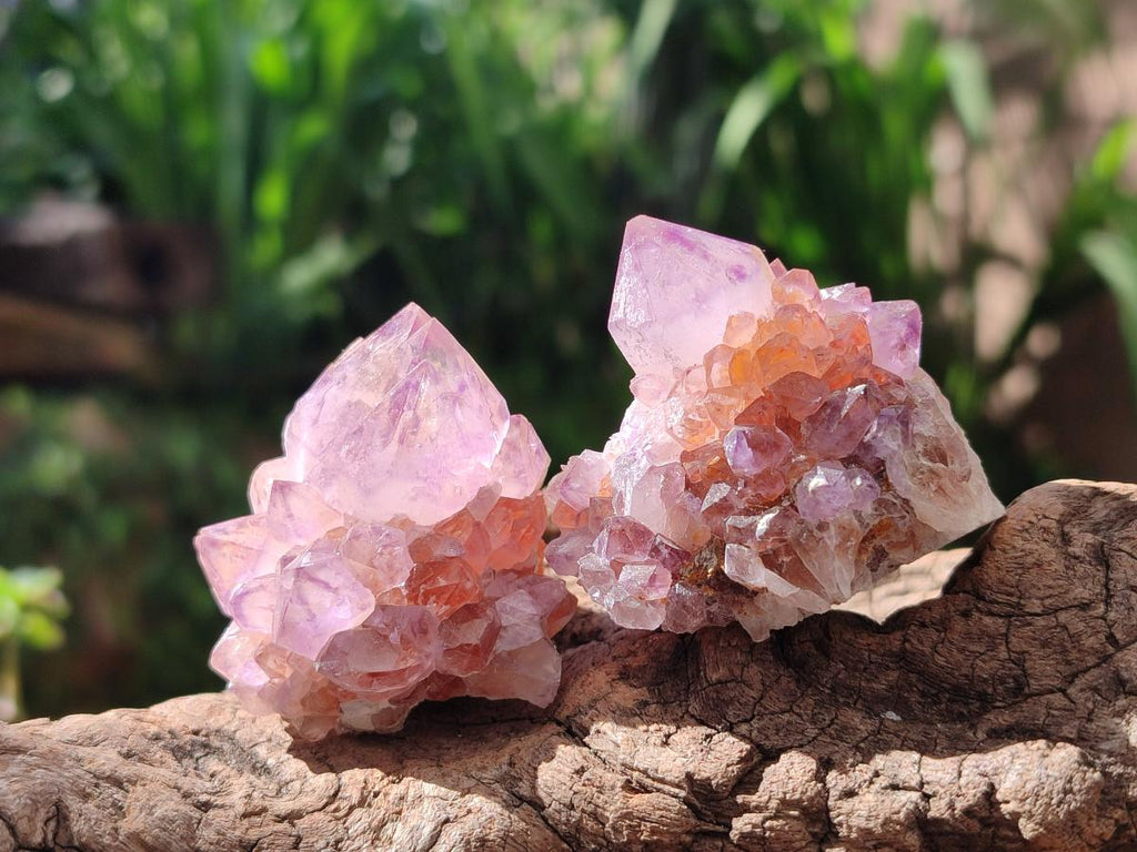 Natural Amethyst Spirit Clusters x 20 From Boekenhouthoek, South Africa