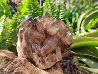 Natural Cascading Smokey Citrine Quartz Clusters x 2 From Luena, Congo