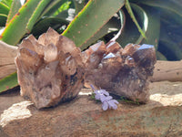 Natural Cascading Smokey Citrine Quartz Clusters x 2 From Luena, Congo