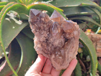Natural Cascading Smokey Citrine Quartz Clusters x 2 From Luena, Congo