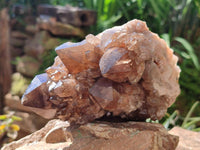 Natural Cascading Smokey Citrine Quartz Clusters x 2 From Luena, Congo