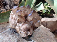 Natural Cascading Smokey Citrine Quartz Clusters x 2 From Luena, Congo
