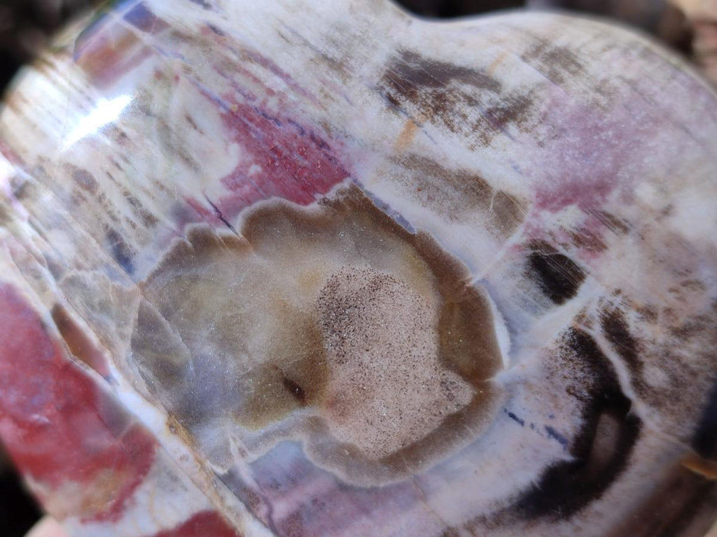 Polished Red Podocarpus Petrified Wood Hearts x 2 From Mahajanga, Madagascar