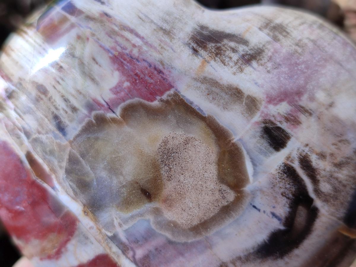 Polished Red Podocarpus Petrified Wood Hearts x 2 From Mahajanga, Madagascar