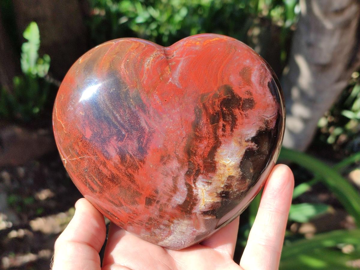 Polished Red Podocarpus Petrified Wood Hearts x 2 From Mahajanga, Madagascar