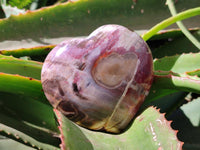 Polished Red Podocarpus Petrified Wood Hearts x 2 From Mahajanga, Madagascar