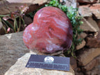 Polished Red Podocarpus Petrified Wood Hearts x 2 From Mahajanga, Madagascar