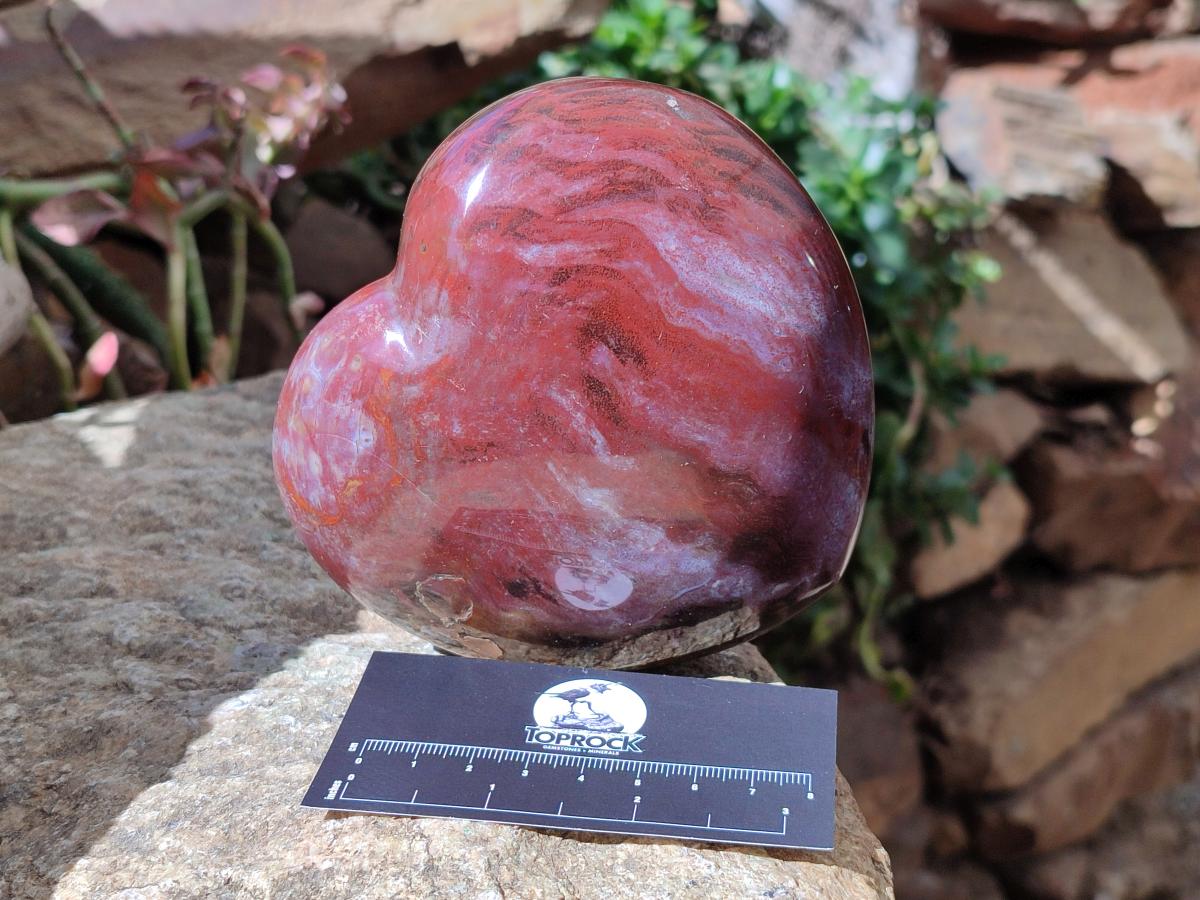 Polished Red Podocarpus Petrified Wood Hearts x 2 From Mahajanga, Madagascar