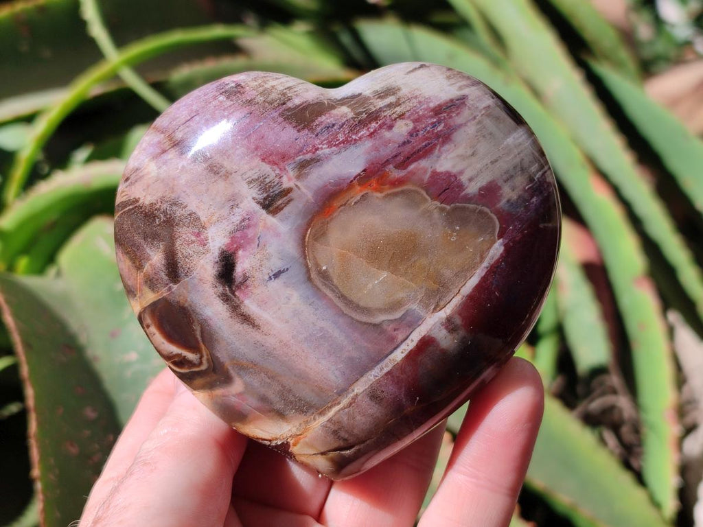 Polished Red Podocarpus Petrified Wood Hearts x 2 From Mahajanga, Madagascar