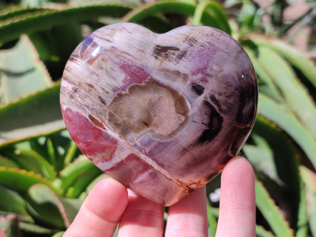 Polished Red Podocarpus Petrified Wood Hearts x 2 From Mahajanga, Madagascar