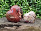Polished Red Podocarpus Petrified Wood Hearts x 2 From Mahajanga, Madagascar