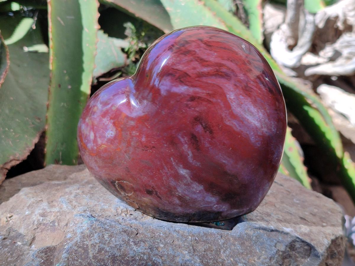 Polished Red Podocarpus Petrified Wood Hearts x 2 From Mahajanga, Madagascar