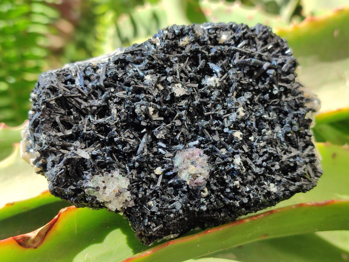 Natural Schorl Black Tourmaline with Associated Minerals x 6 From Erongo, Namibia