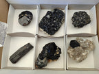 Natural Schorl Black Tourmaline with Associated Minerals x 6 From Erongo, Namibia