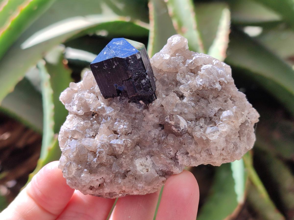 Natural Schorl Black Tourmaline with Associated Minerals x 6 From Erongo, Namibia