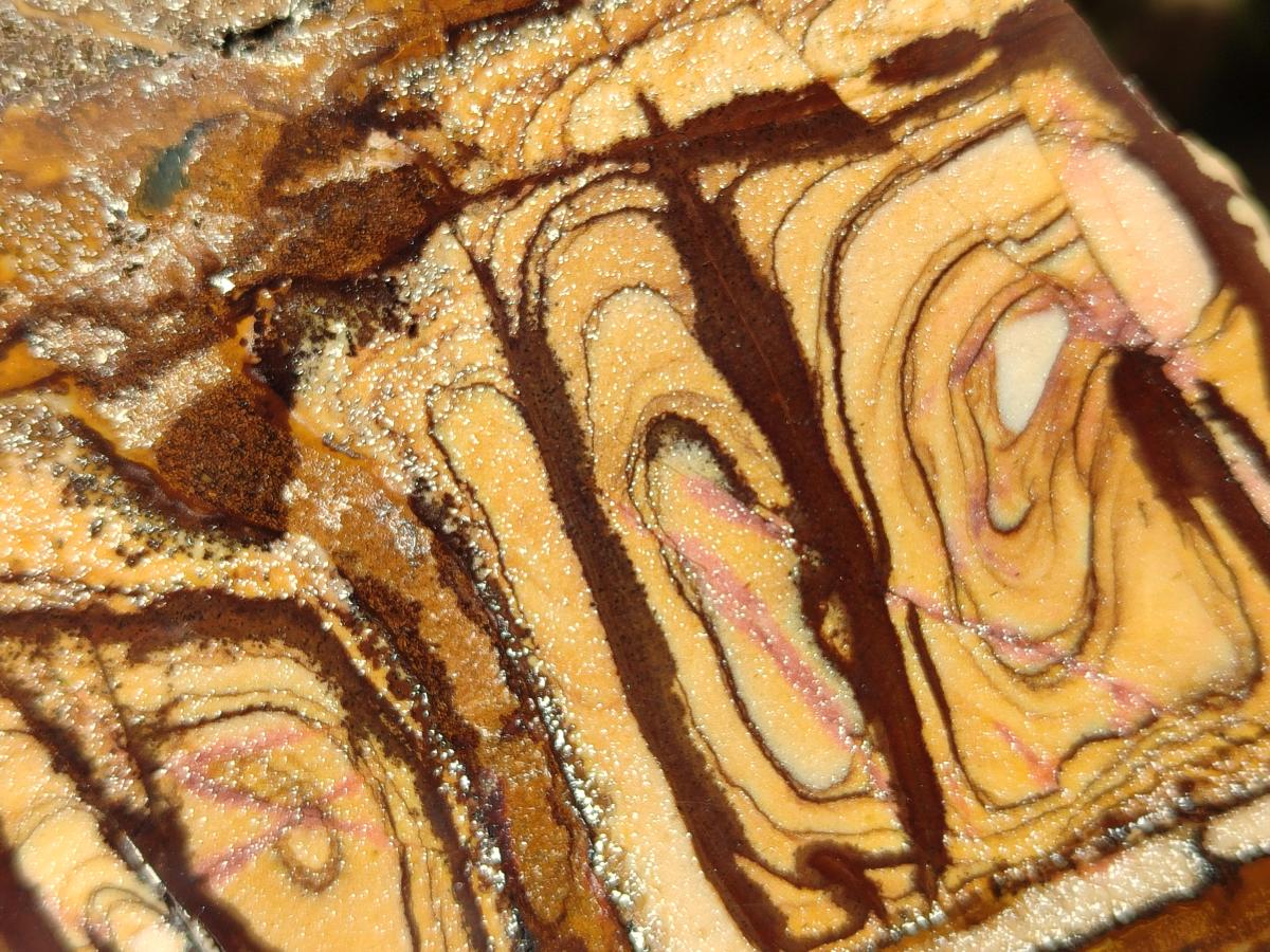 Polished On One Side Nguni Jasper Slices x 2 From Northern Cape, South Africa